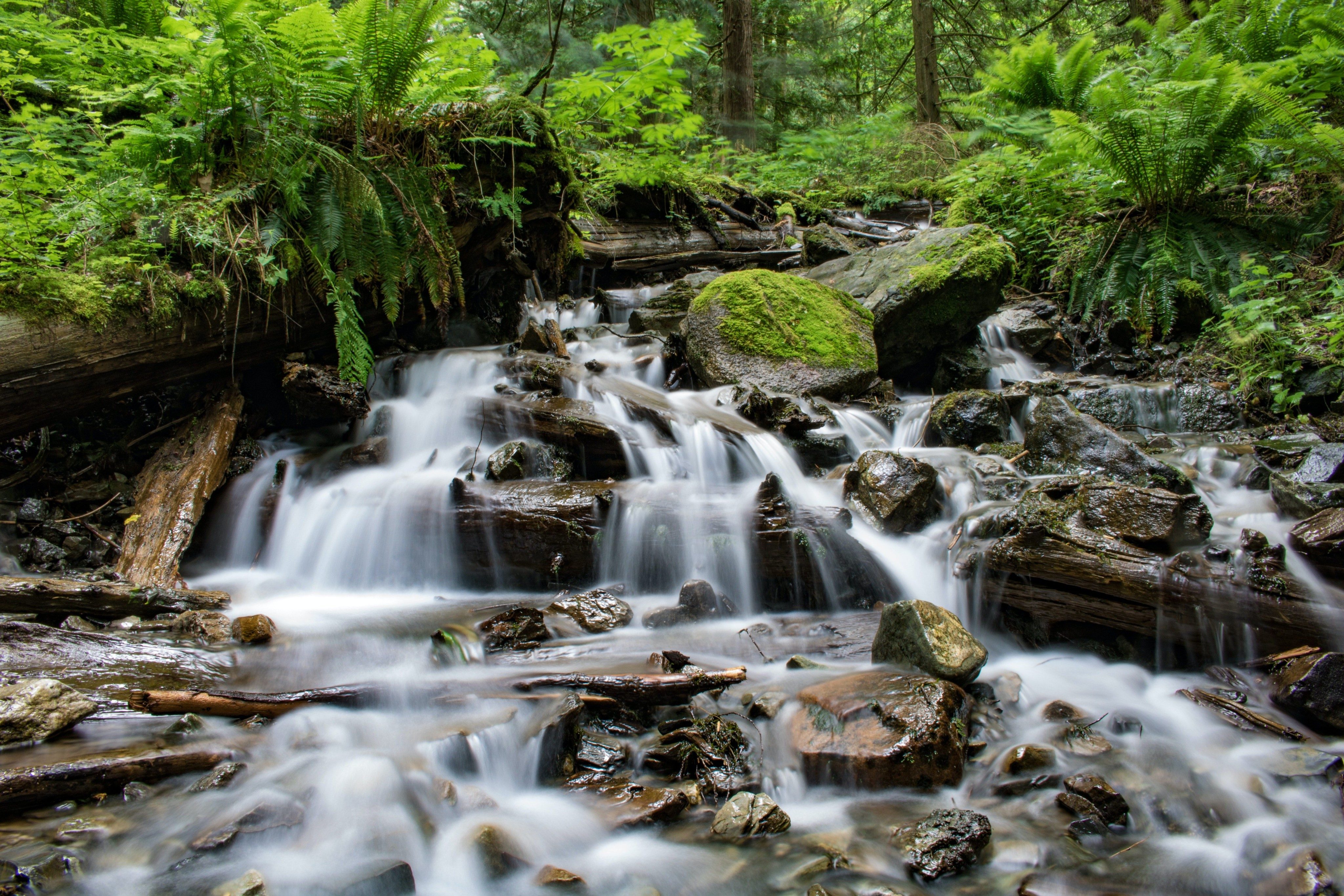 The Ecosystem Behind Every Good Business